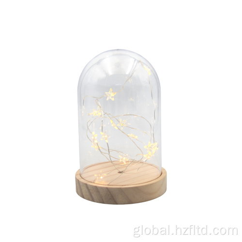 Star Effect Preserved Flower LED light with Plastic Cover for Home Decoration Factory